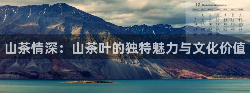 金年会手机网页版登录