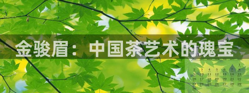 金年会 金字招牌