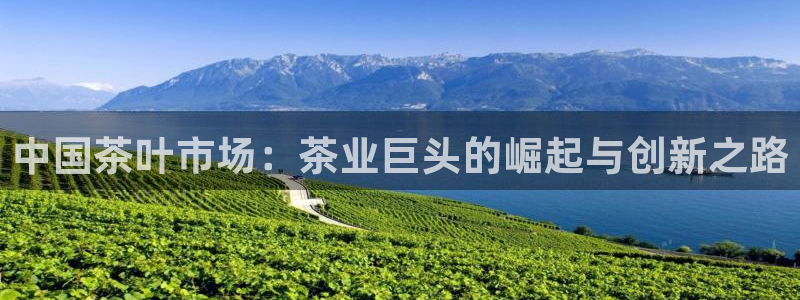 金年会官方入口