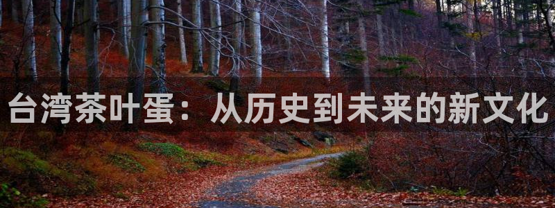 金年会 中国 金年会